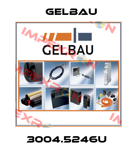 3004.5246U  Gelbau