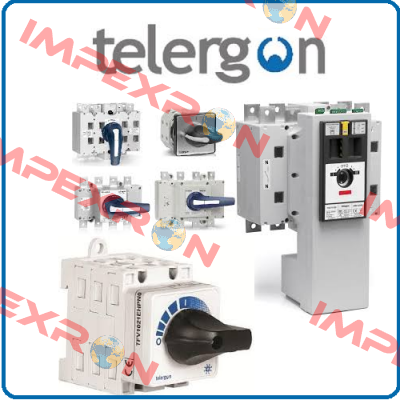 T-0001224868  Telergon