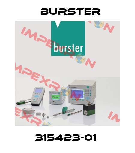 315423-01  Burster