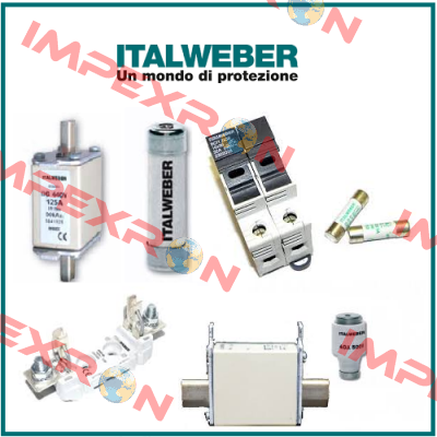 0100400  Italweber