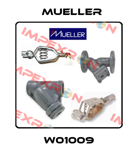 W01009 Mueller