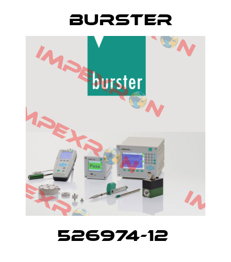 526974-12  Burster