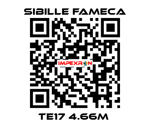 TE17 4.66M  Sibille Fameca