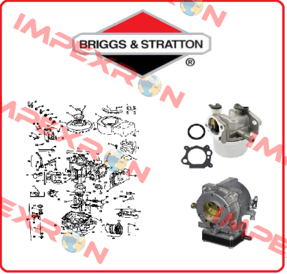 809021-BRI  Briggs-Stratton