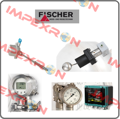 DS21020A23AK0W00 Fischer Mess Regeltechnik