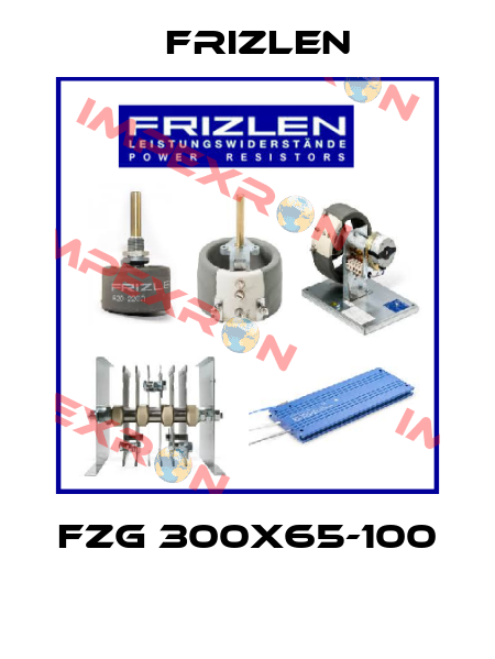 FZG 300X65-100  Frizlen