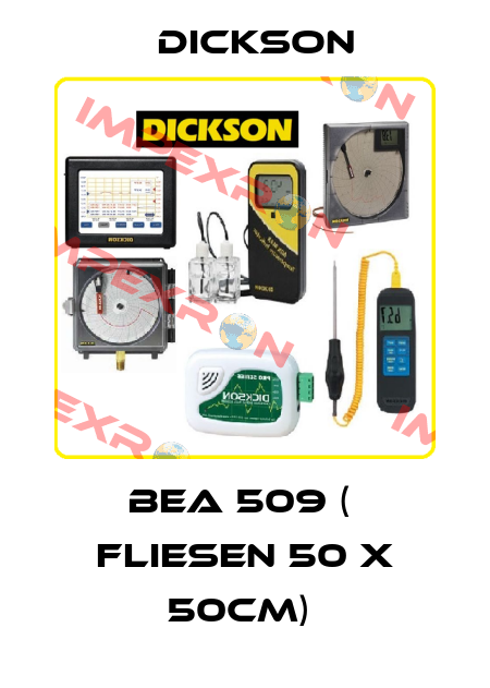 BEA 509 (  Fliesen 50 x 50cm)  Dickson