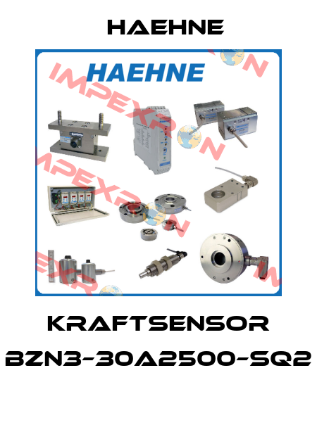 KRAFTSENSOR BZN3–30A2500–SQ2  HAEHNE