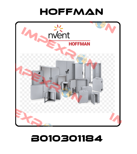 B010301184  Hoffman