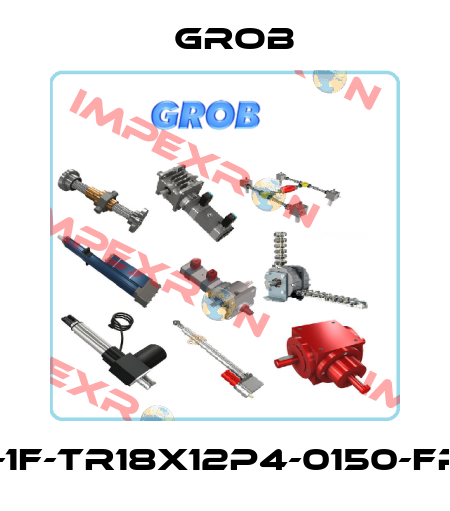 MJ1-GN-1F-TR18x12P4-0150-FP-FB-2E Grob