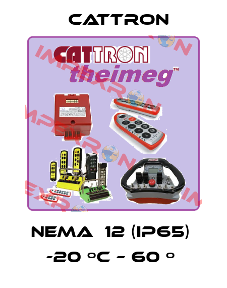 NEMA  12 (IP65)  -20 ºC – 60 º  Cattron
