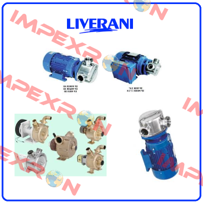 34341124 Liverani