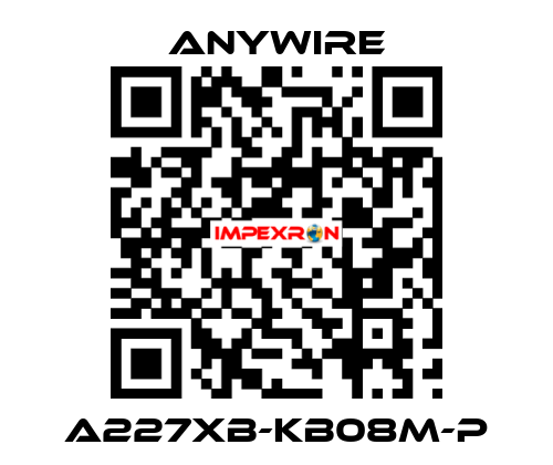 A227XB-KB08M-P Anywire