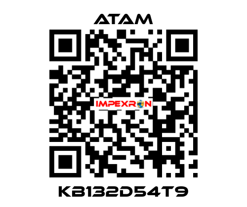 KB132D54T9 ATAM