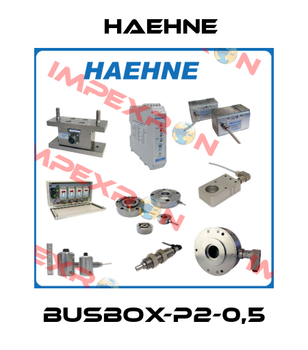 Busbox-P2-0,5 HAEHNE