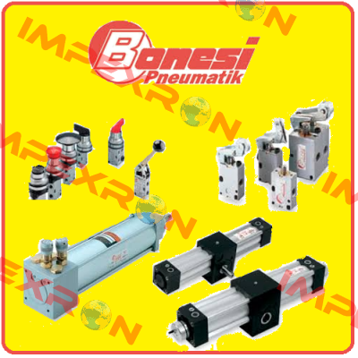 CKM20200 Bonesi Pneumatic