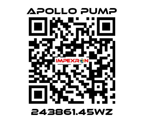 243861.45WZ Apollo pump