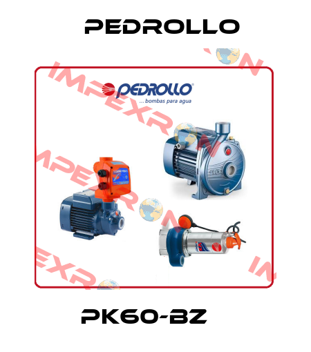 PK60-BZ    Pedrollo