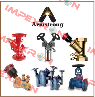 1810-F-T304 1"-150lbs (95113) Armstrong