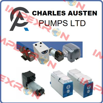 X12-935 Charles Austen Pumps