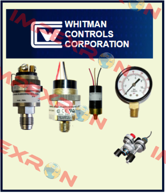 P119V-3H-F12TB Whitman Controls