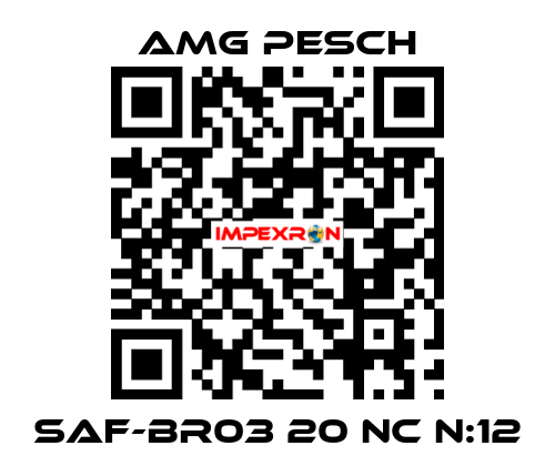SAF-BR03 20 NC n:12 AMG Pesch