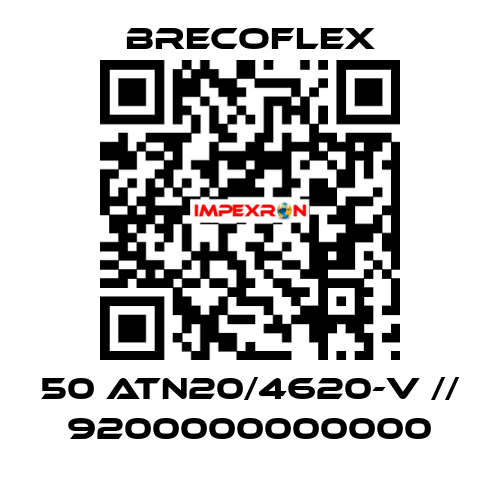 50 ATN20/4620-V // 9200000000000 Brecoflex