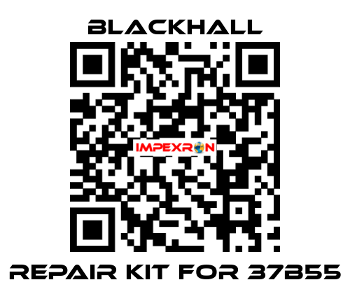 repair kit for 37B55 Blackhall