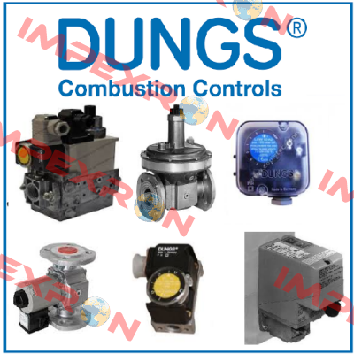 229243 GW 500 / 500 A6 Dungs