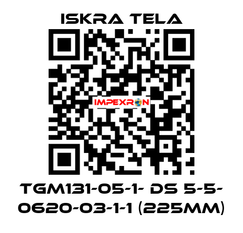 TGM131-05-1- DS 5-5- 0620-03-1-1 (225mm) ISKRA TELA