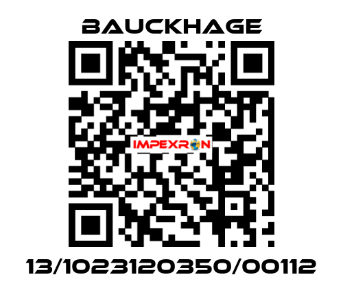 13/1023120350/00112 Bauckhage