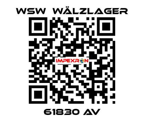 61830 AV WSW  Wälzlager