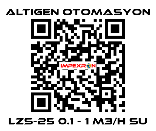 LZS-25 0.1 - 1 M3/H SU Altıgen Otomasyon