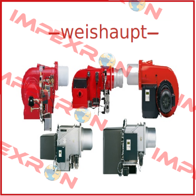 DN80  Weishaupt