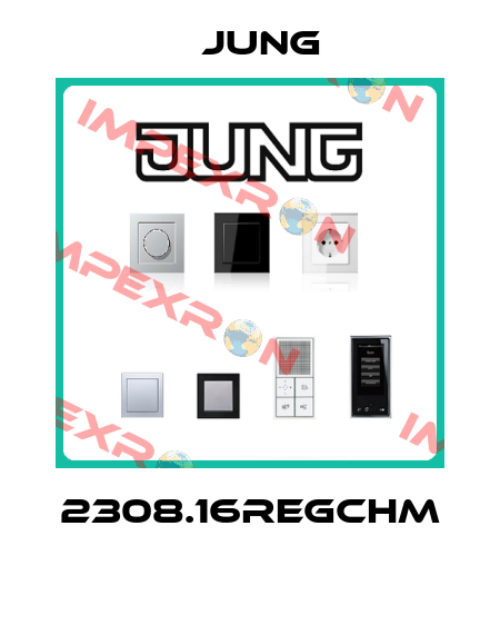 2308.16REGCHM  Jung