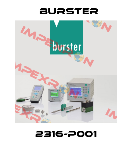 2316-P001 Burster