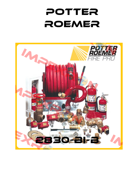 2830-BI-B  Potter Roemer