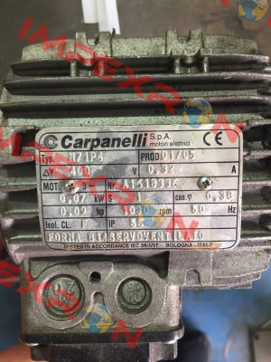 N71P4  OEM!!  Carpanelli