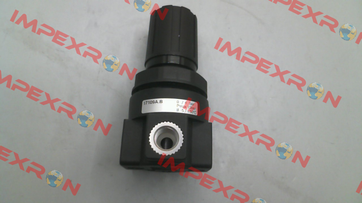 17109A.B Pneumax